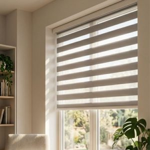 Day & Night Zebra Blind